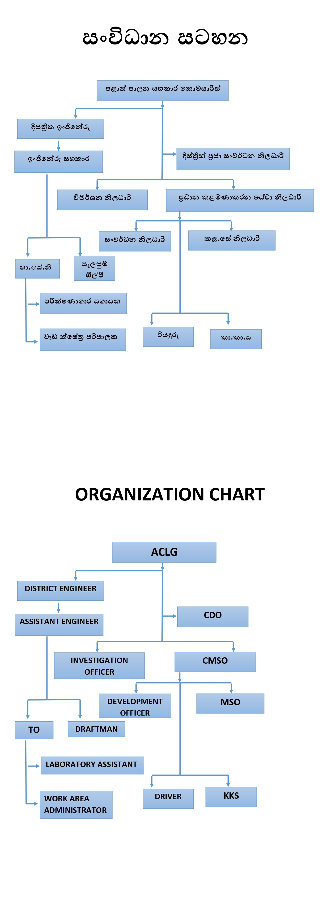 Organizational Structure